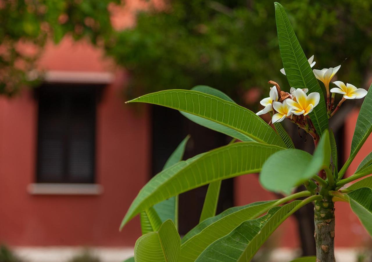 Casa Mespilea Hotel Paphos Kültér fotó